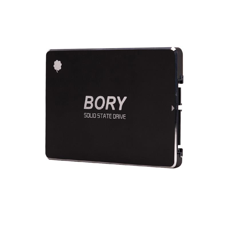 1 Tb Bory Sata3 R500-C1T Ssd 550/510 Mbs (3 Yil Garanti̇li̇)